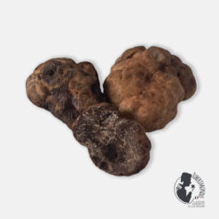 Tartufo Bianchetto