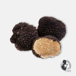 Tartufo Scorzone Estivo
